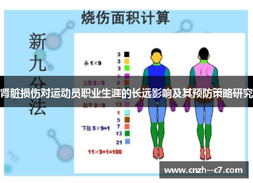 肾脏损伤对运动员职业生涯的长远影响及其预防策略研究