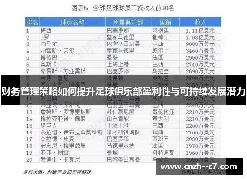 财务管理策略如何提升足球俱乐部盈利性与可持续发展潜力