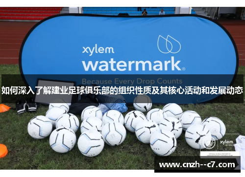 如何深入了解建业足球俱乐部的组织性质及其核心活动和发展动态