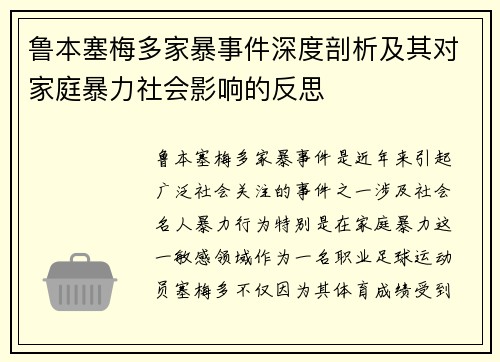 鲁本塞梅多家暴事件深度剖析及其对家庭暴力社会影响的反思