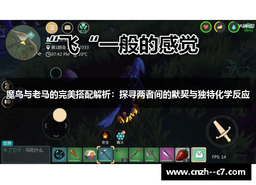 魔鸟与老马的完美搭配解析：探寻两者间的默契与独特化学反应