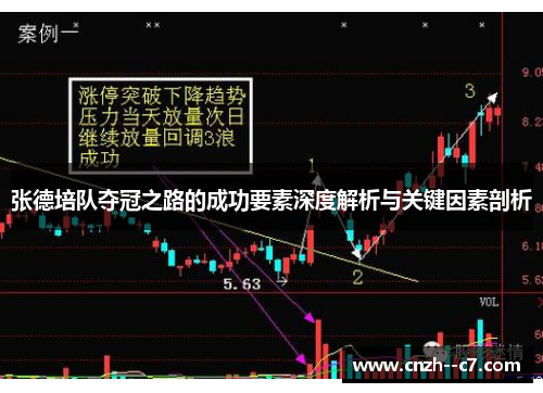 张德培队夺冠之路的成功要素深度解析与关键因素剖析