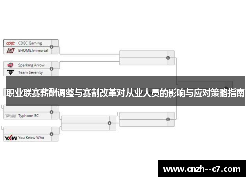 职业联赛薪酬调整与赛制改革对从业人员的影响与应对策略指南