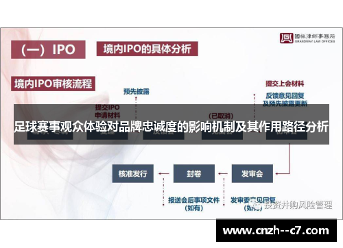 足球赛事观众体验对品牌忠诚度的影响机制及其作用路径分析 足球赛事观众体验对品牌忠诚度的影响机制及其作用路径分析